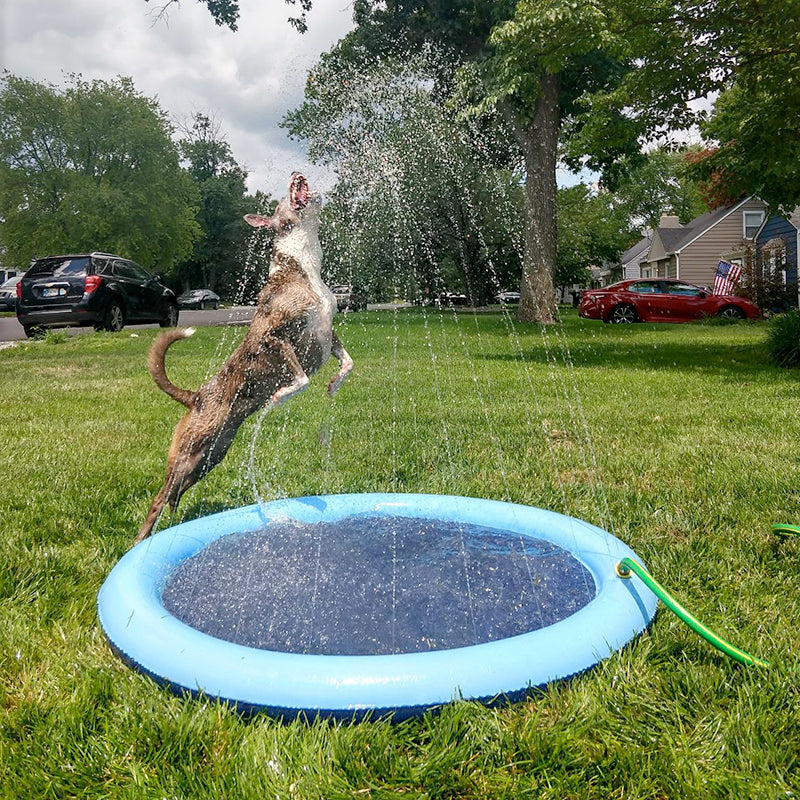 Piscina Inflável para Pets – Diversão Refrescante com Liberdade e Segurança